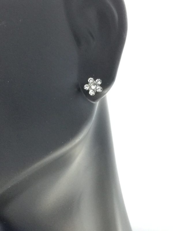 Stainless Steel Daisy April Crystal Earrings – S6004WSTX