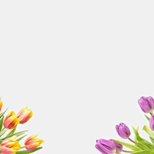 gift card | Two Tulip Bouquets Gift Card