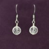 hypoallergenic earrings | April Birthstone Drop Earrings - Crystal