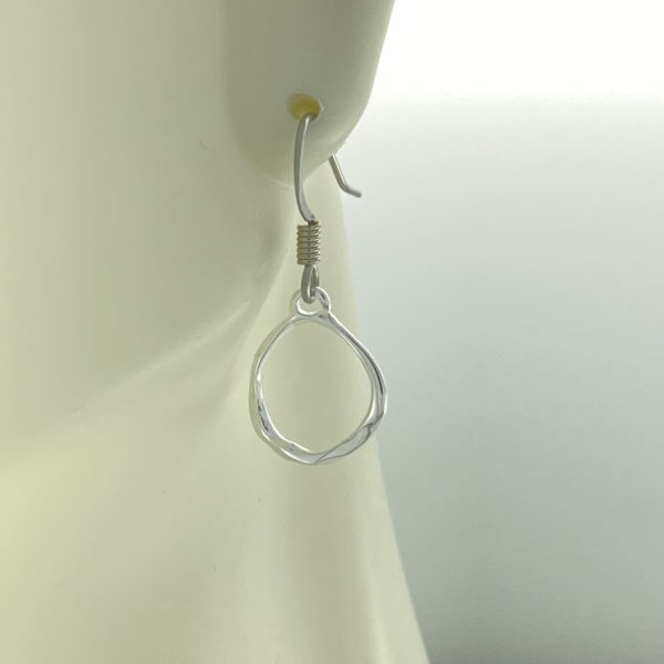 Silver Organic Round Frame Earrings – JCL166