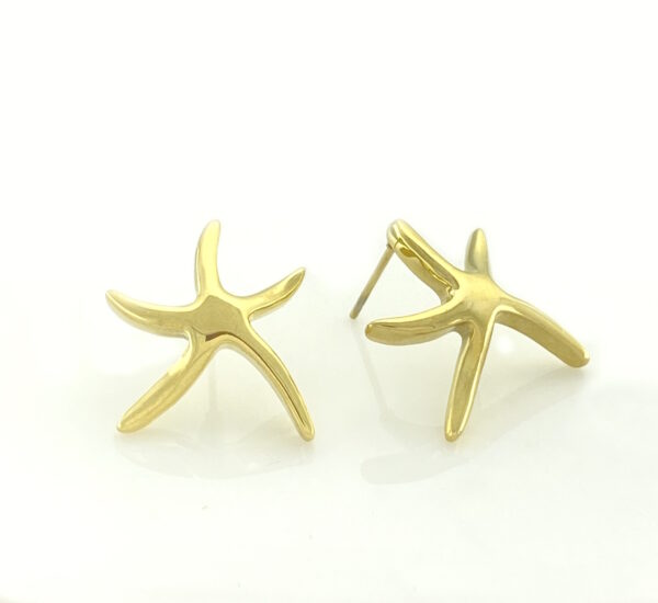 Starfish Hope in Gold – JSP126-394g